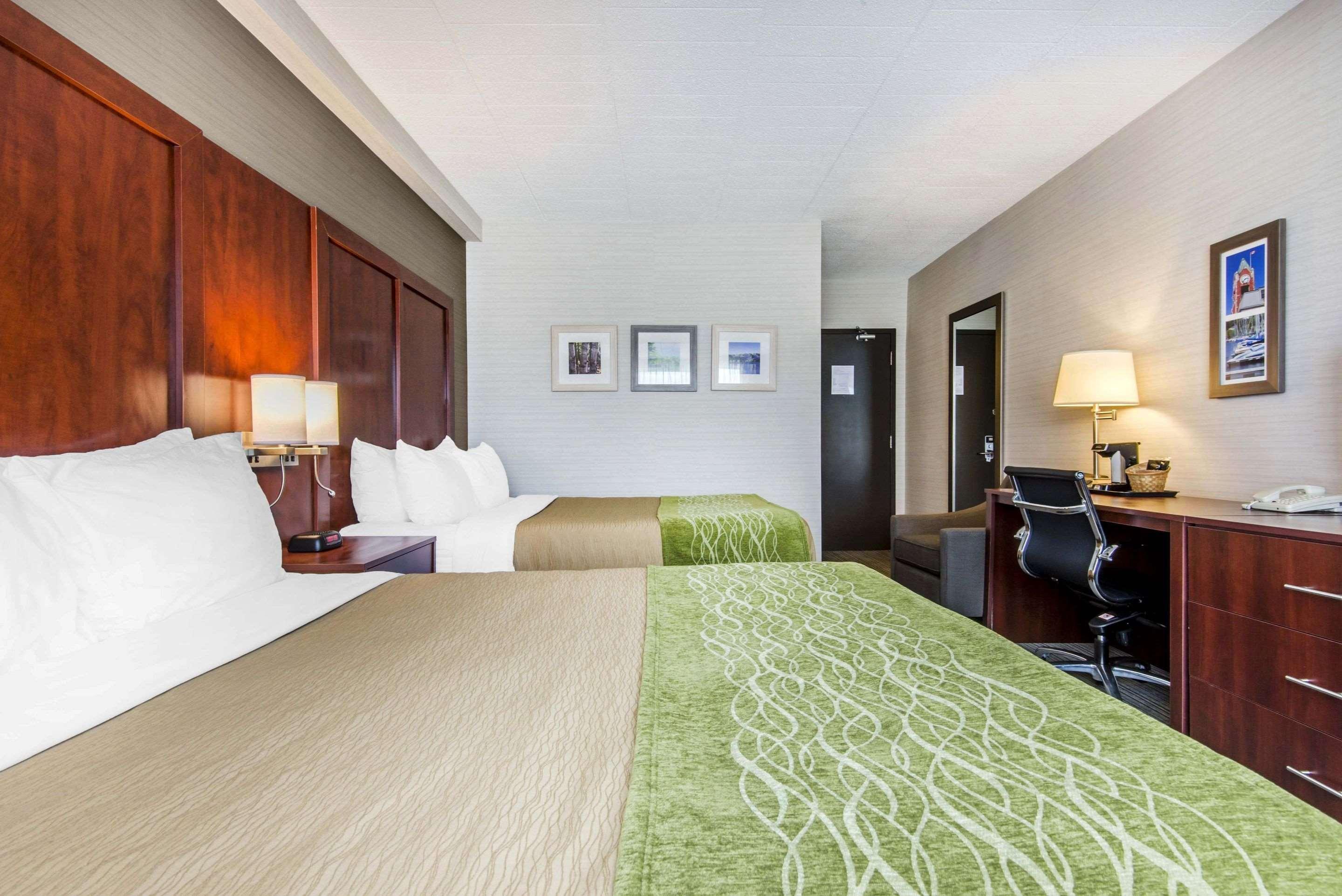 Comfort Inn & Suites Коллингвуд Экстерьер фото