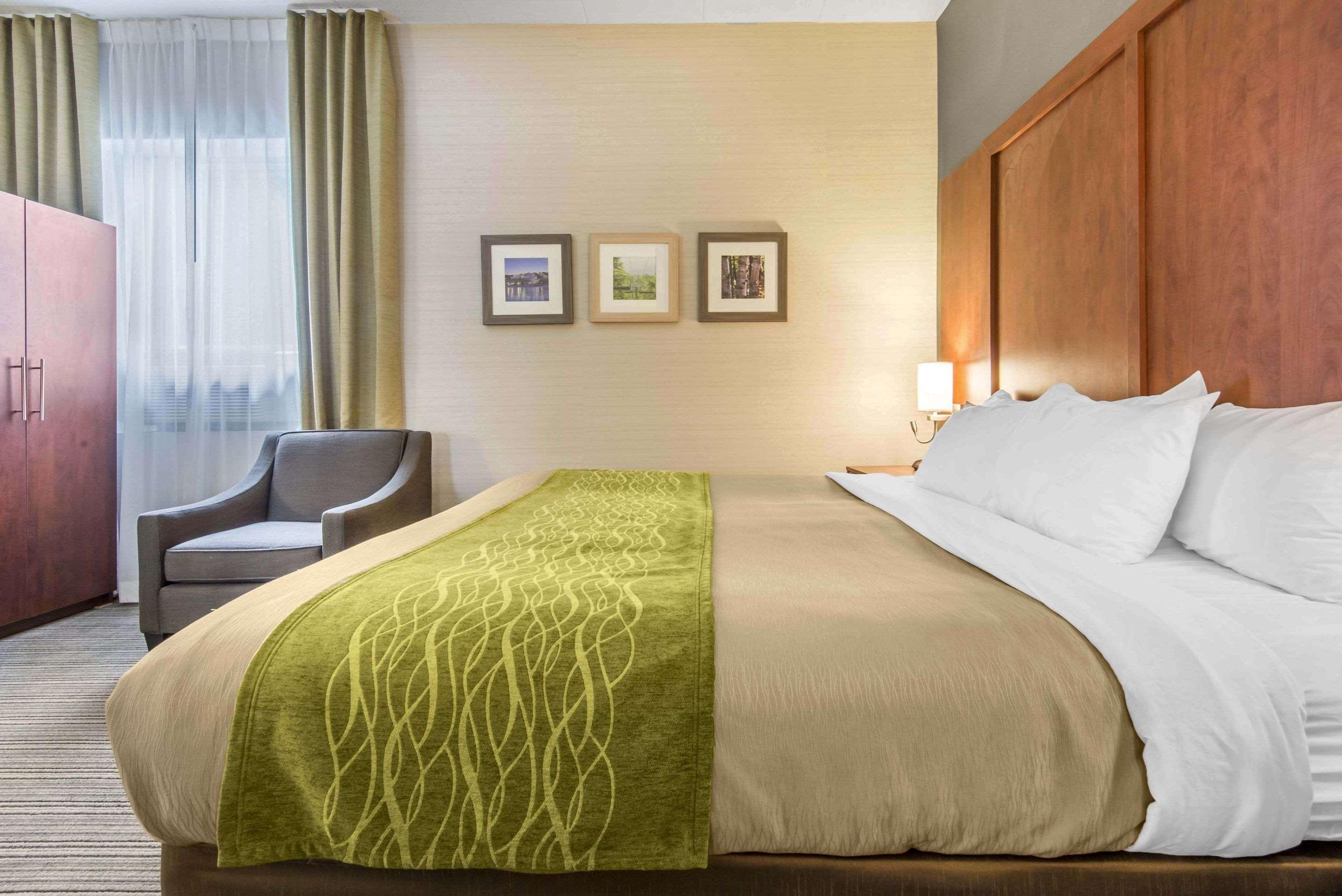 Comfort Inn & Suites Коллингвуд Экстерьер фото