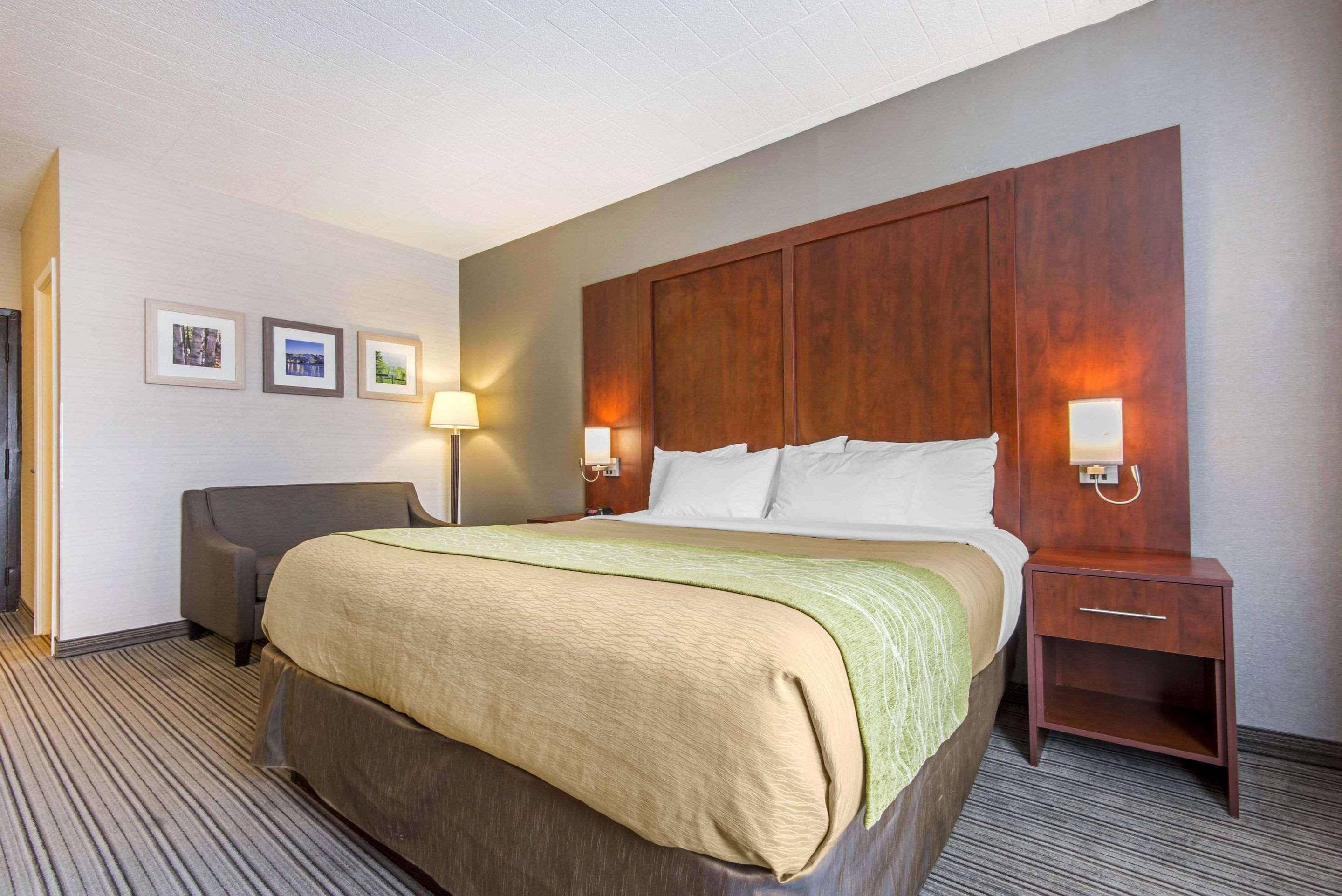 Comfort Inn & Suites Коллингвуд Экстерьер фото