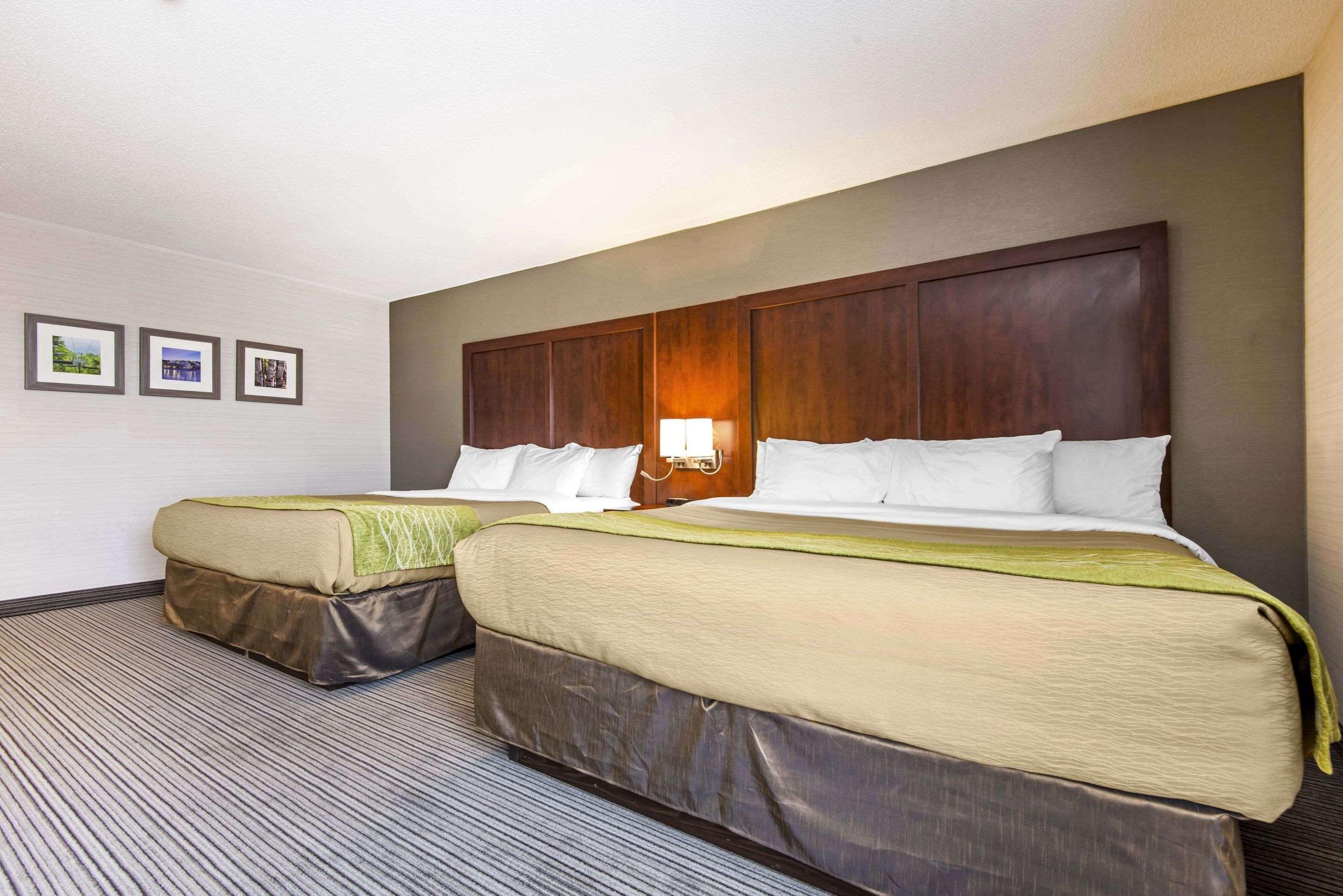 Comfort Inn & Suites Коллингвуд Экстерьер фото
