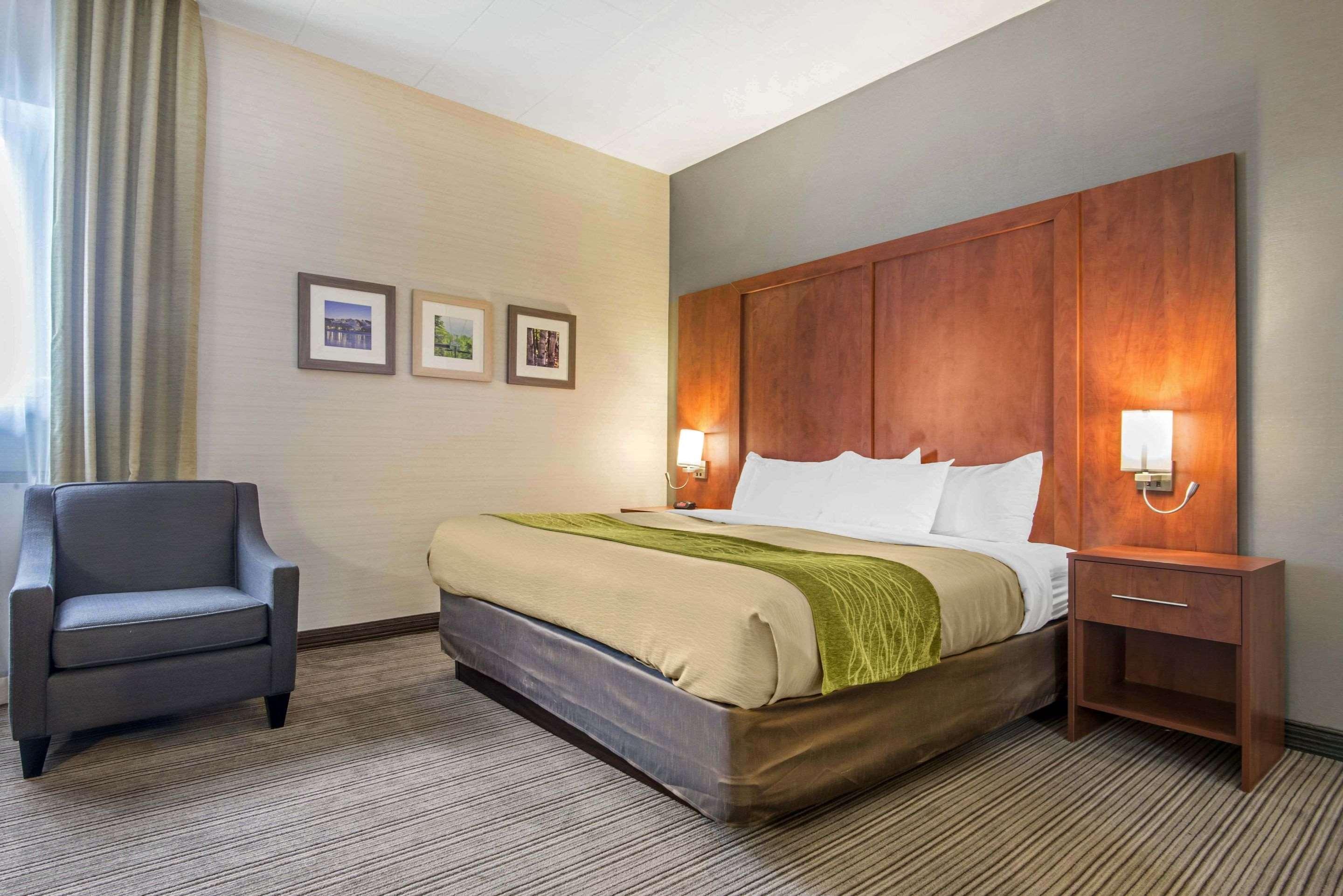 Comfort Inn & Suites Коллингвуд Экстерьер фото
