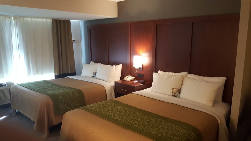 Comfort Inn & Suites Коллингвуд Экстерьер фото